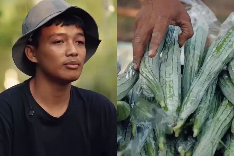 Kisah Inspiratif Muhammad Alfa Priandito: Pelajar SMK Usia 17 Tahun Raup Ratusan Juta Dari Berjualan Sayur