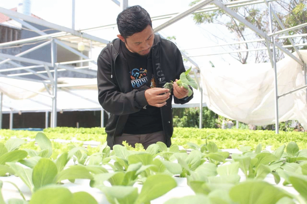 Sukses di Usia 23 Tahun Sebagai Petani Sayur, Sudah Hasilkan Ratusan Juta 7 image 11
