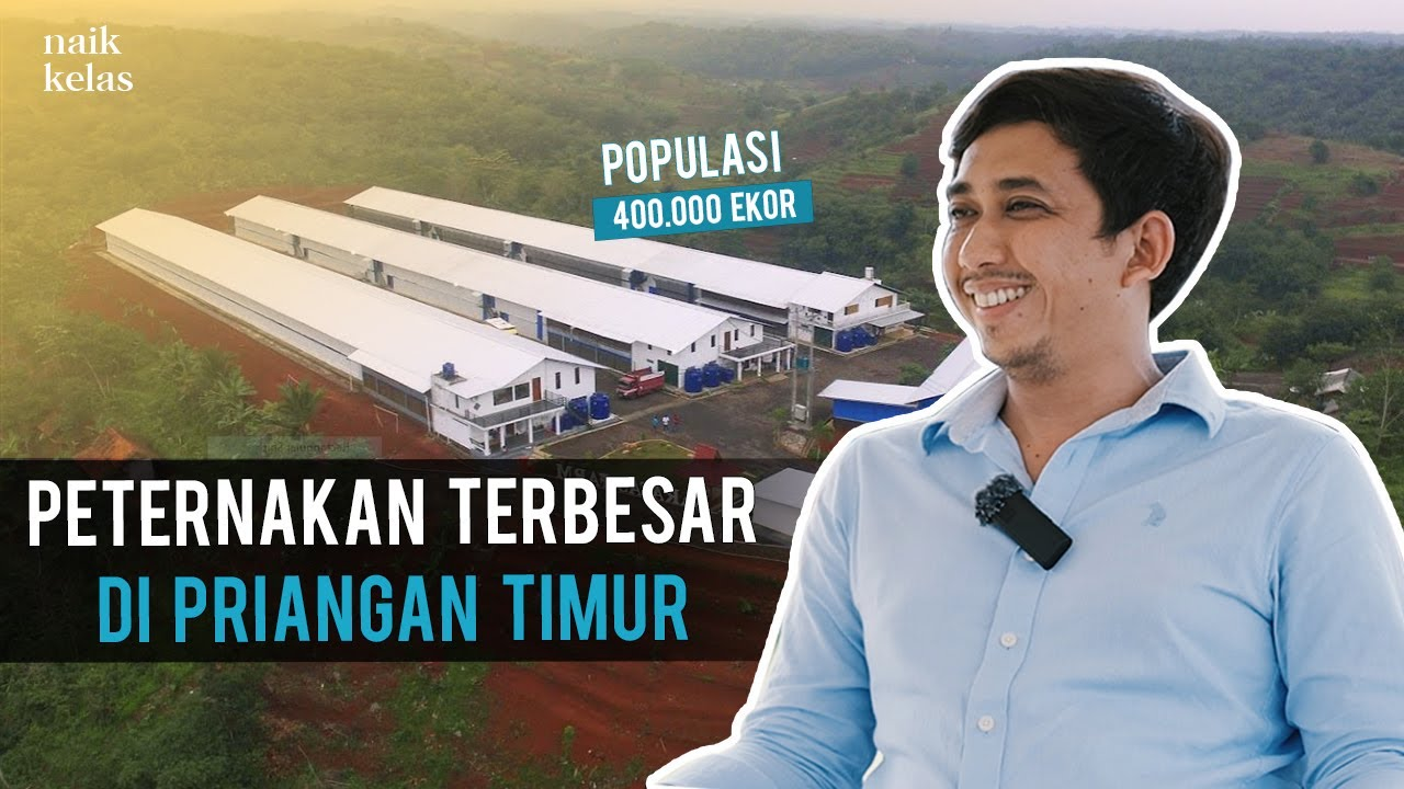 Dari Populasi 2.000 Jadi 400.000 Ekor: Kisah Sukses Bisnis Ternak dengan Omzet Rp8 Miliar per Bulan