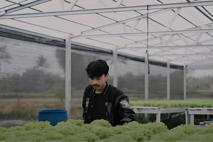 Sukses di Usia 23 Tahun Sebagai Petani Sayur, Sudah Hasilkan Ratusan Juta 6 image 9